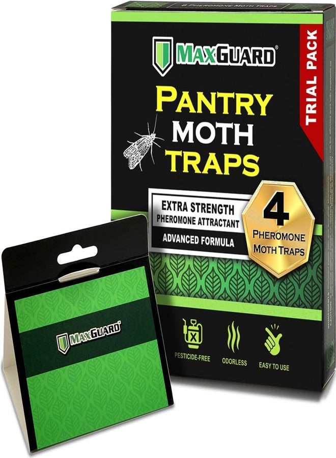 MaxGuard Pantry Moth Traps (4 Traps Trial Pack) Extra Strength Pheromones | Non-Toxic Sticky Glue Trap for Food and Cupboard Moths in Your Kitchen | Trap and Kill Seed Grain Flour Meal Moths | - Image 1